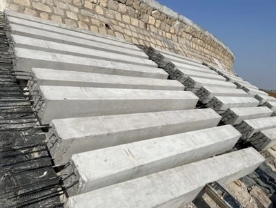 Τι είναι ο σύνθετος τένοντας των ινών άνθρακα;